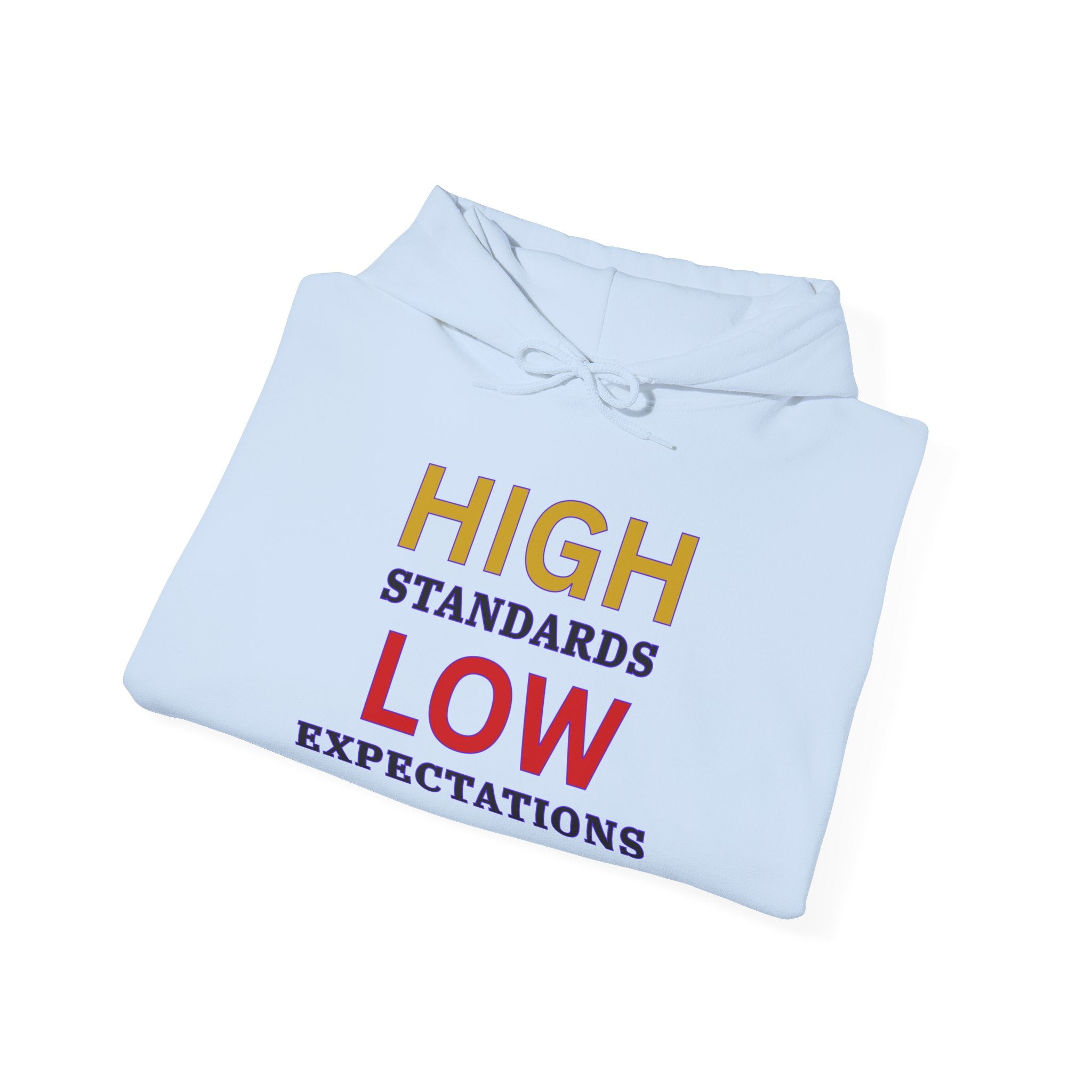 High Standards Low Expectations hoodie