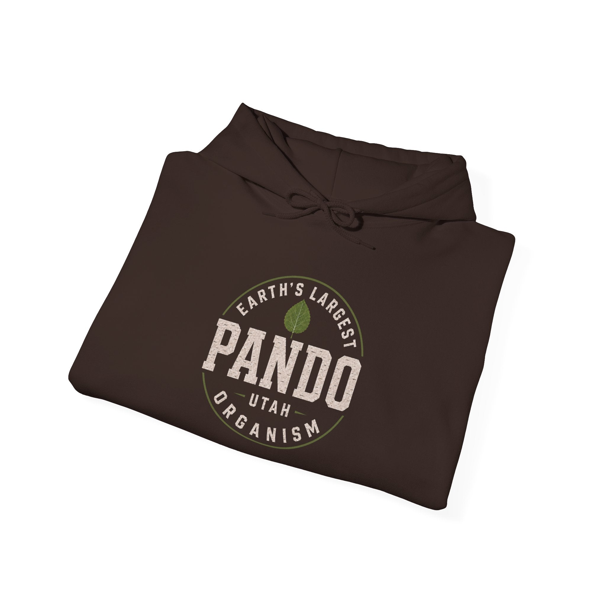 PANDO Utah "Earth's Largest Organism" hoodie