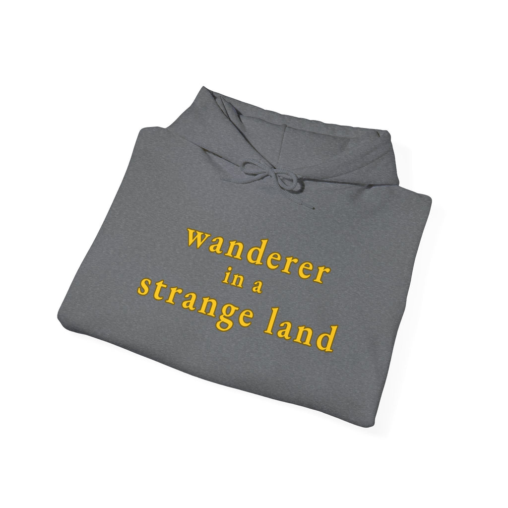 Wanderer in a Strange Land hoodie