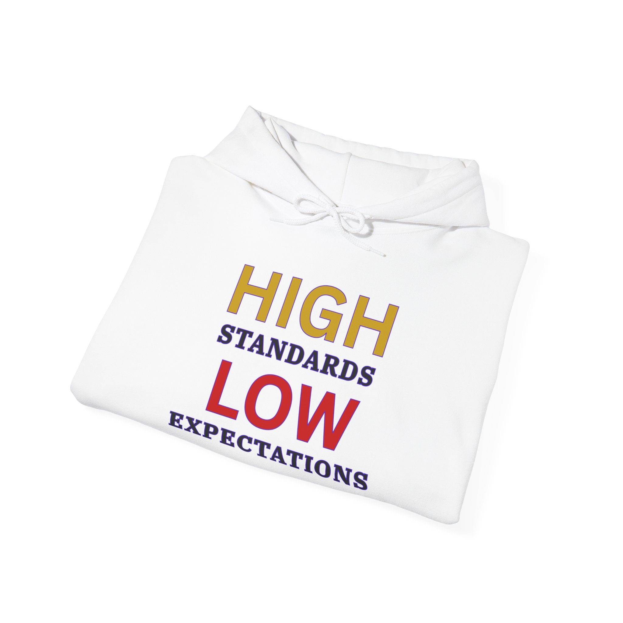 High Standards Low Expectations hoodie