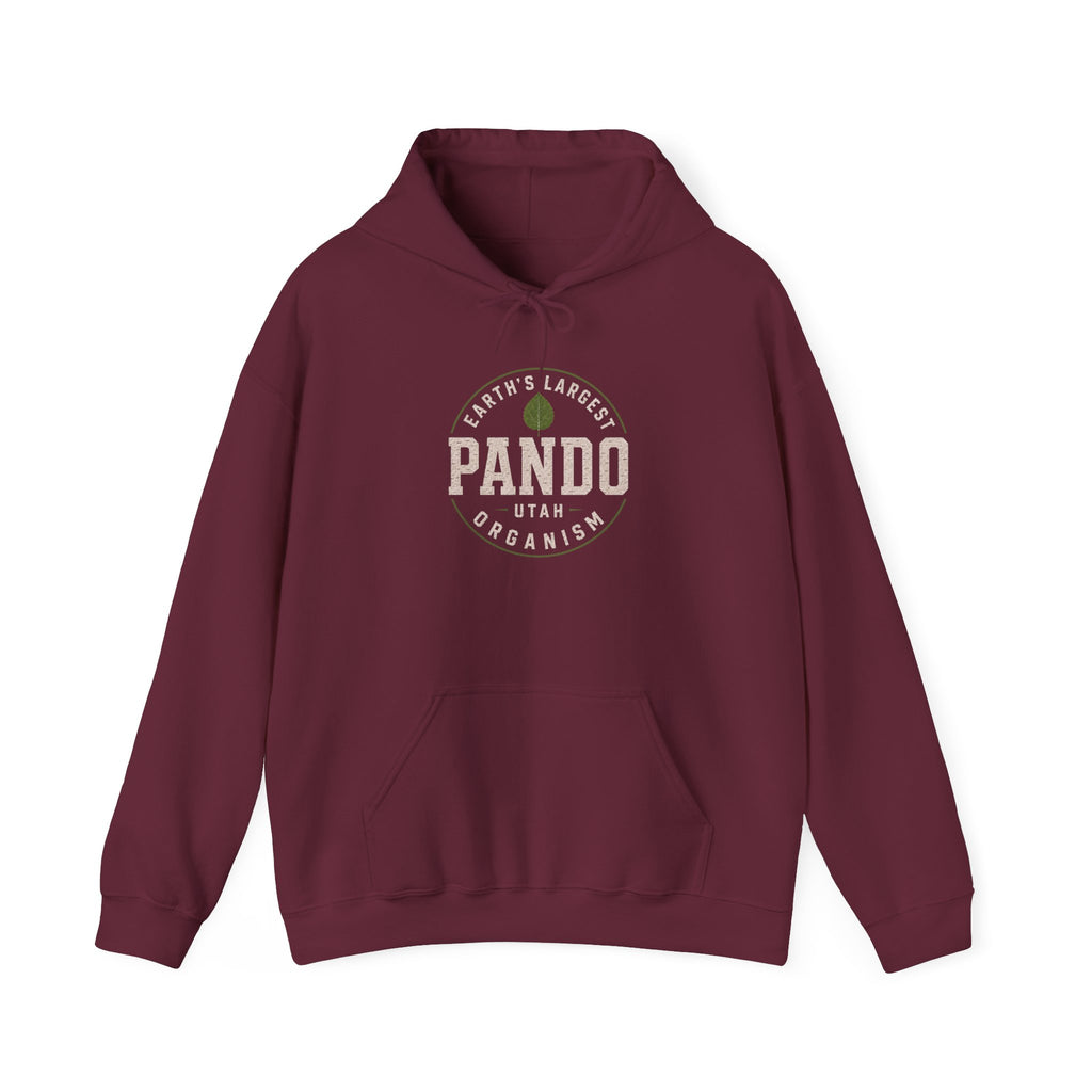 PANDO Utah "Earth's Largest Organism" hoodie