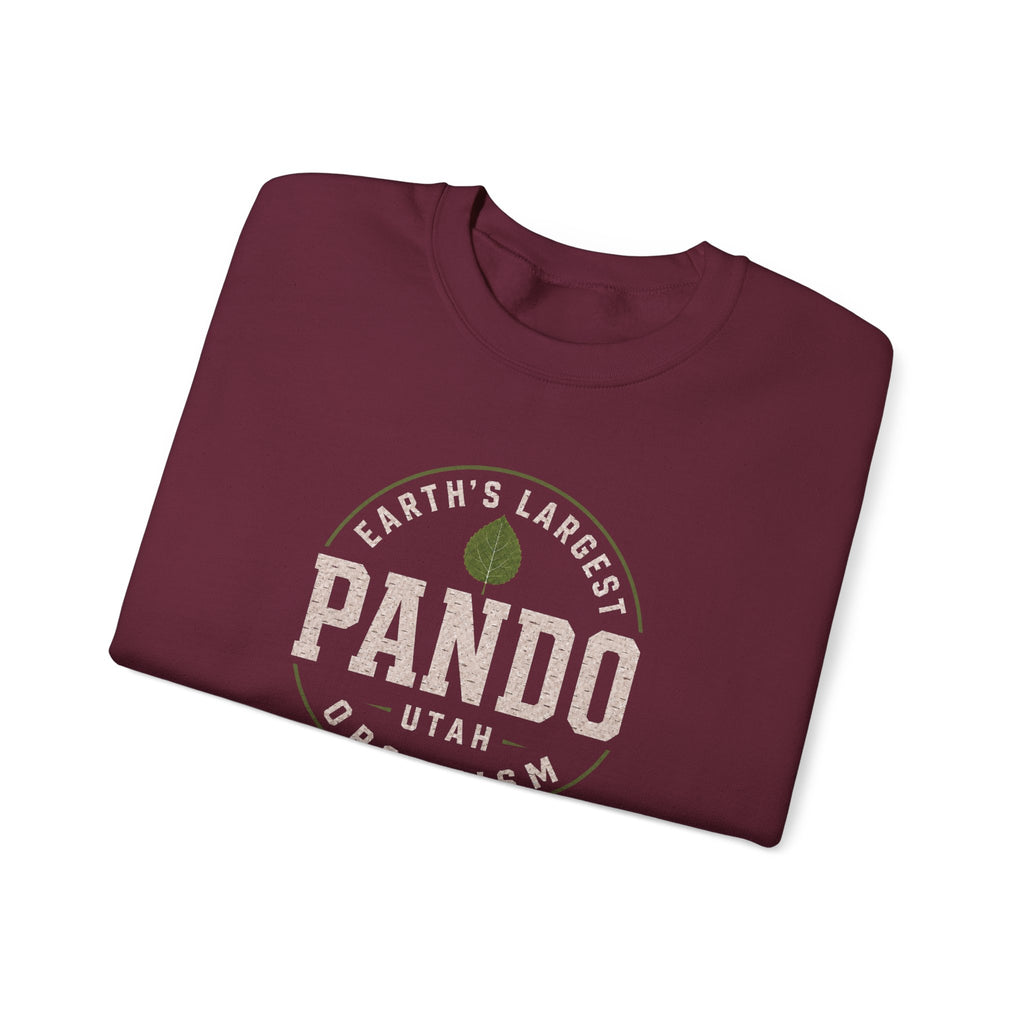 Pando Utah "Earth's Largest Organism" sweatshirt