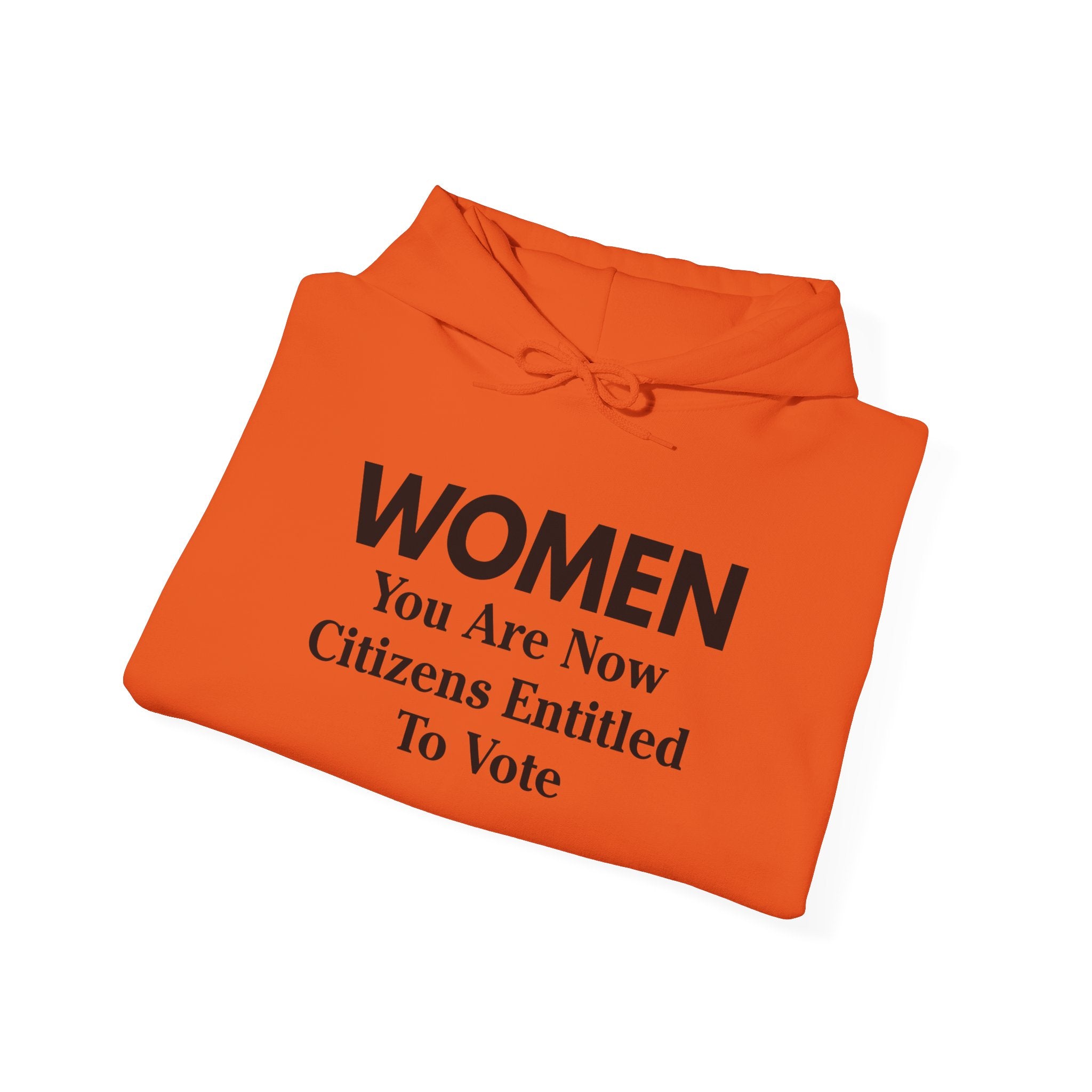 WOMEN You Are Now Citizens Entitled To Vote suffrage hoodie