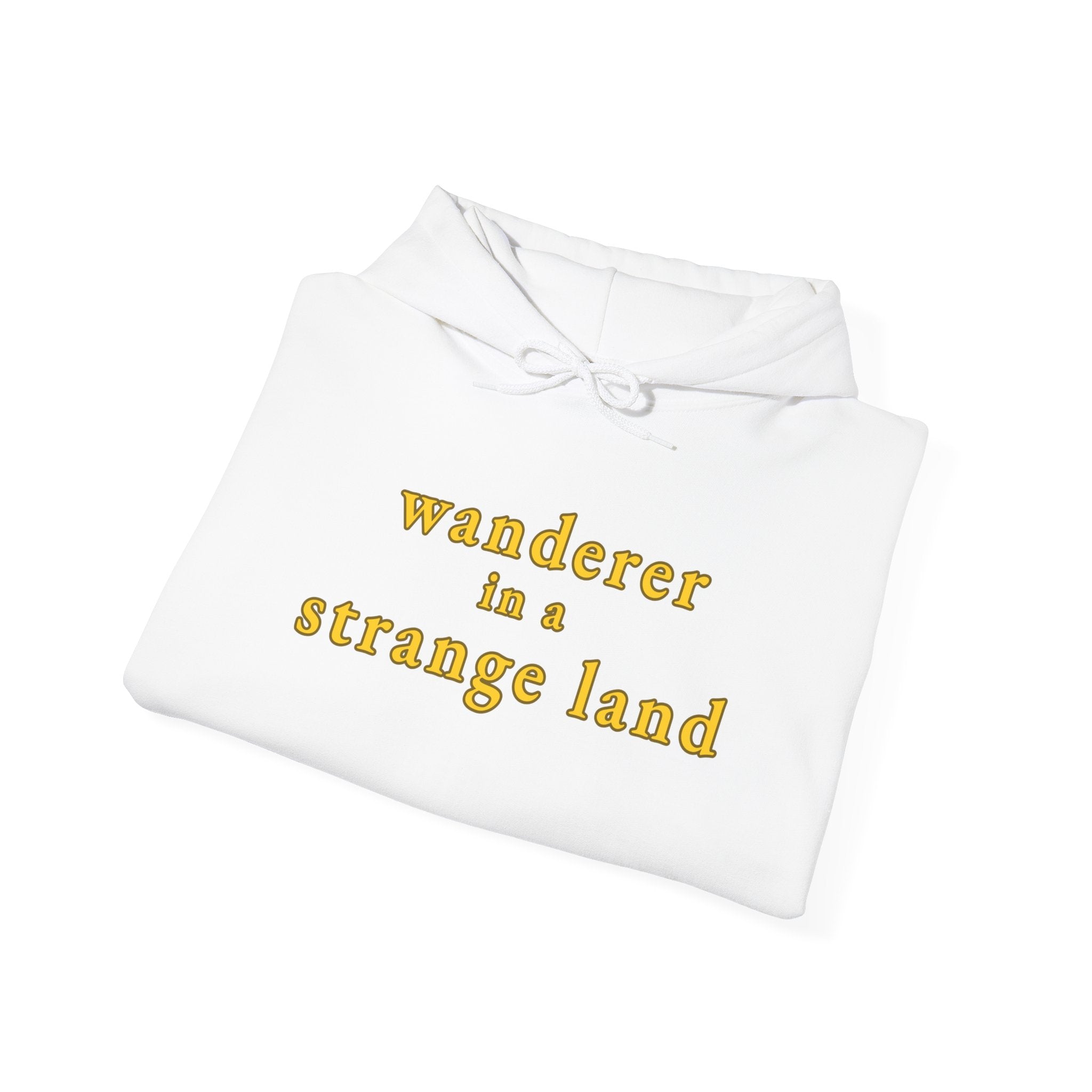Wanderer in a Strange Land hoodie