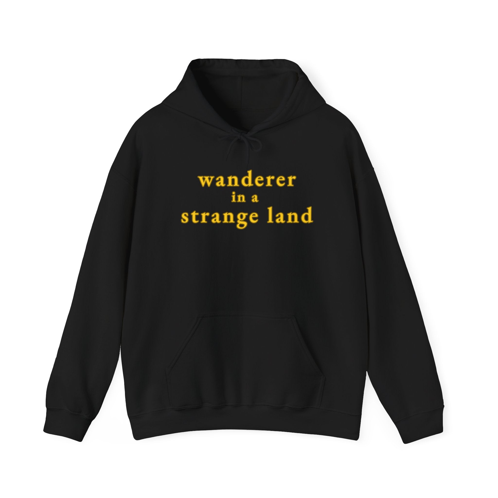 Wanderer in a Strange Land hoodie