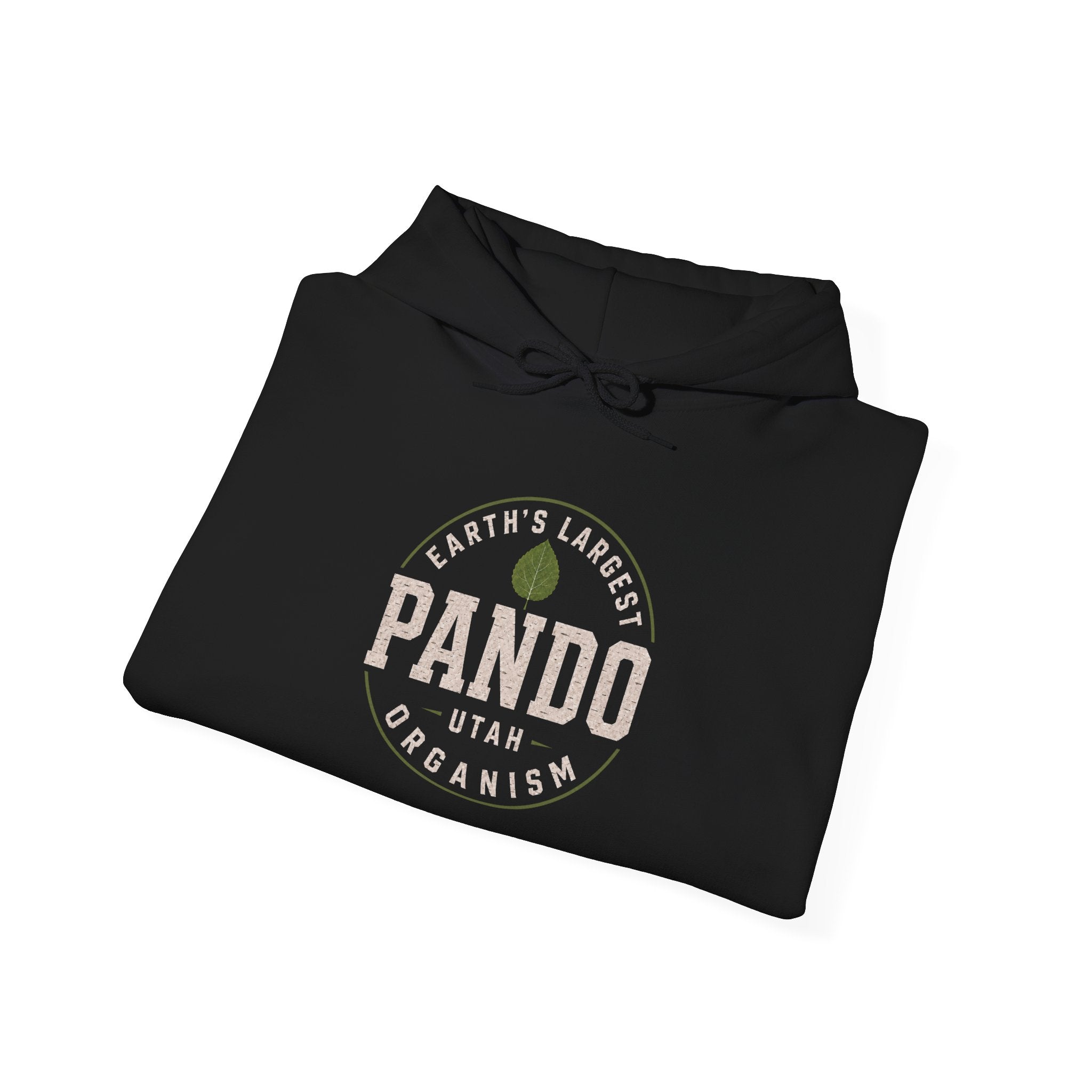 PANDO Utah "Earth's Largest Organism" hoodie