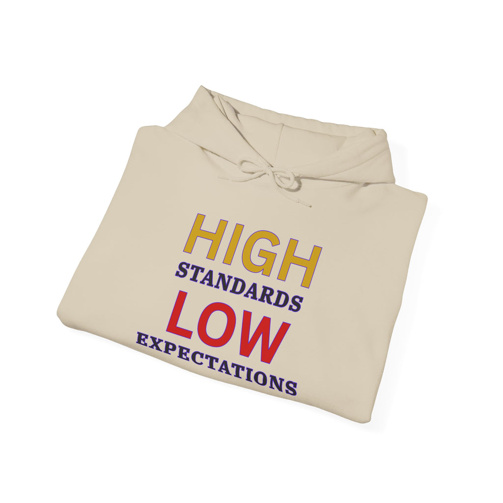 High Standards Low Expectations hoodie