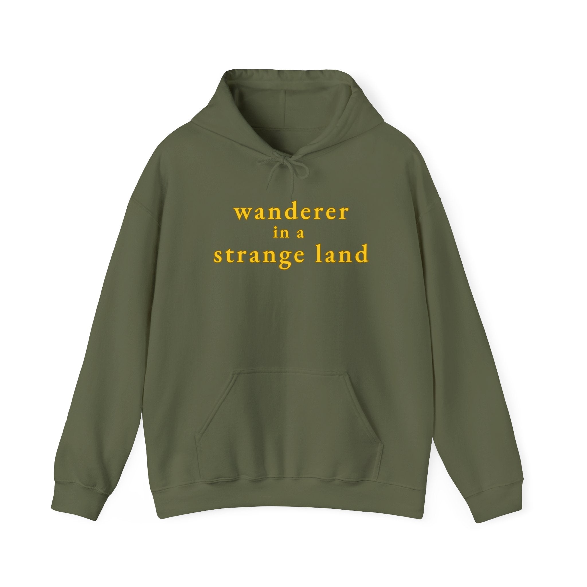 Wanderer in a Strange Land hoodie
