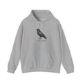 Raven 'Welcome' hoodie
