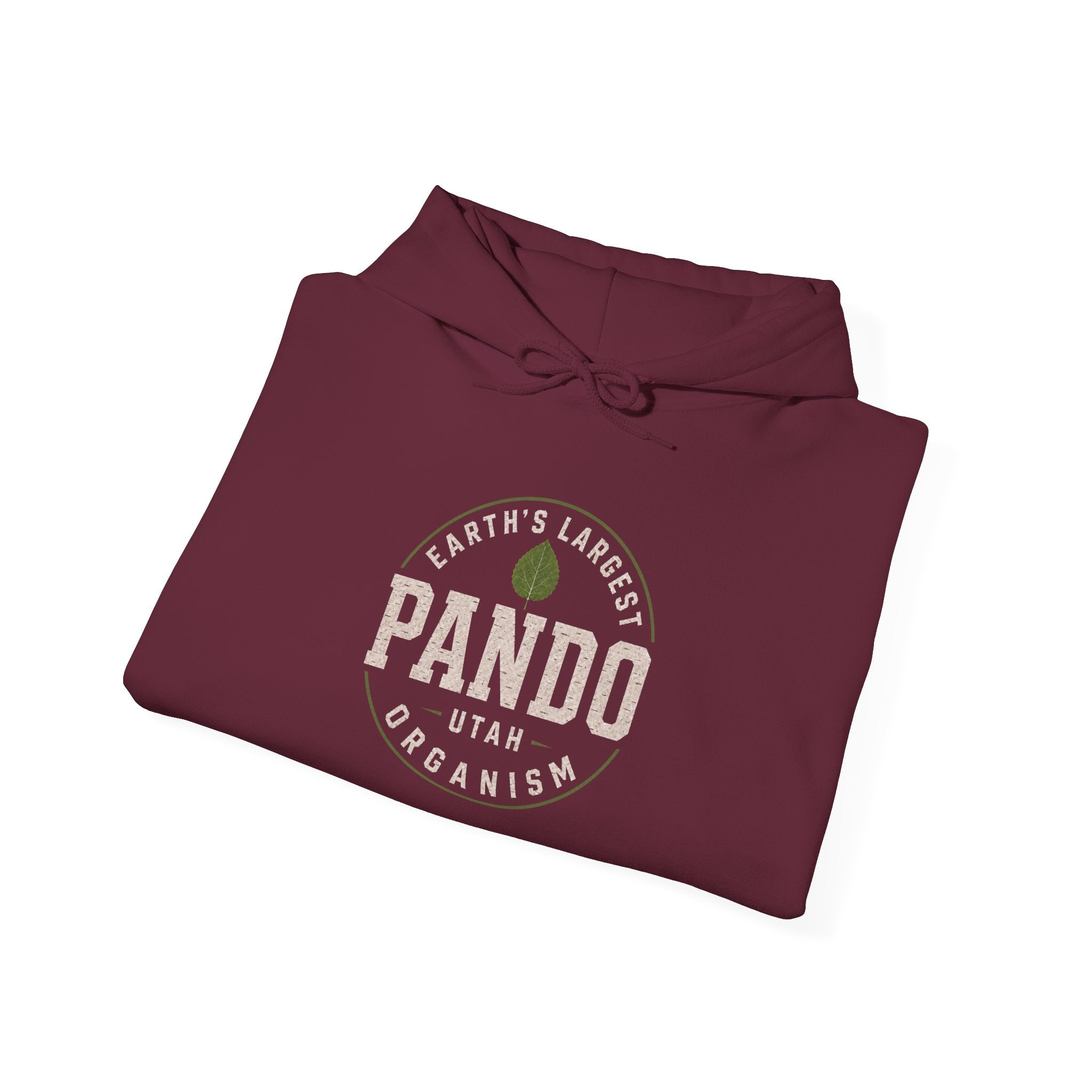 PANDO Utah "Earth's Largest Organism" hoodie
