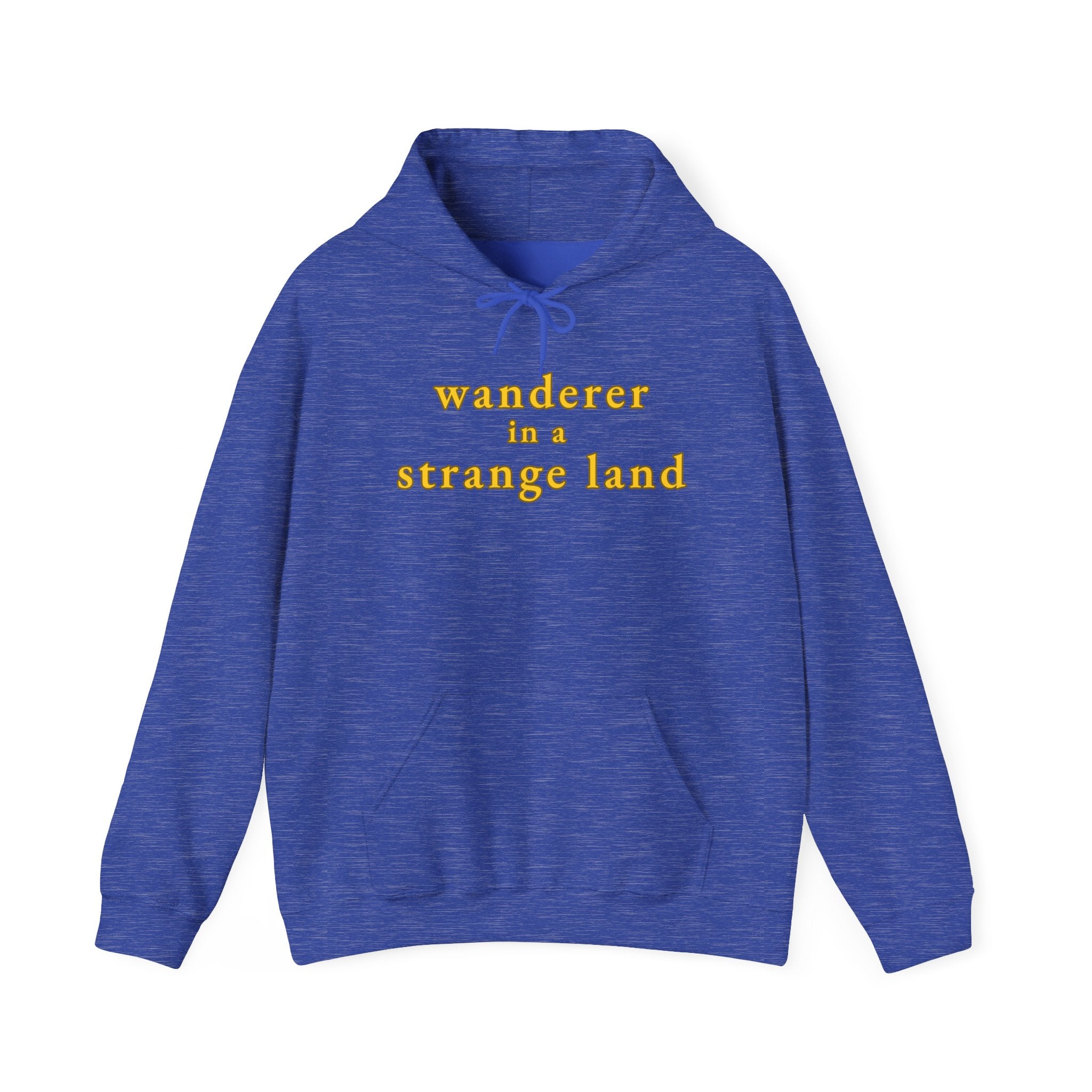 Wanderer in a Strange Land hoodie