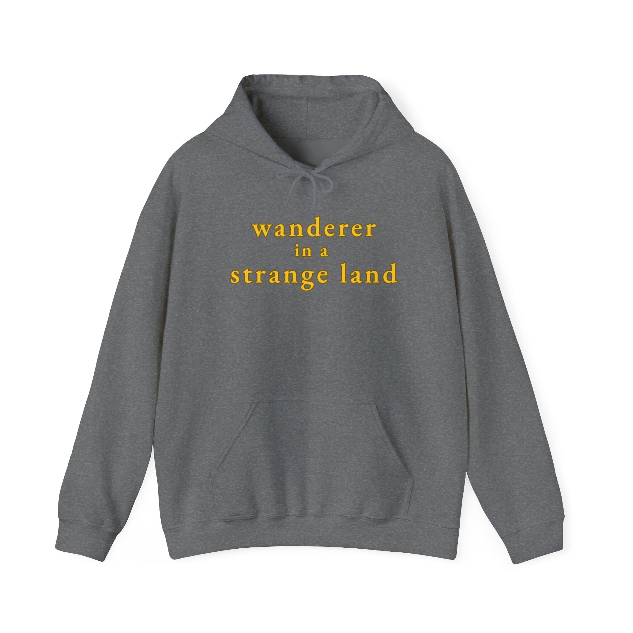Wanderer in a Strange Land hoodie