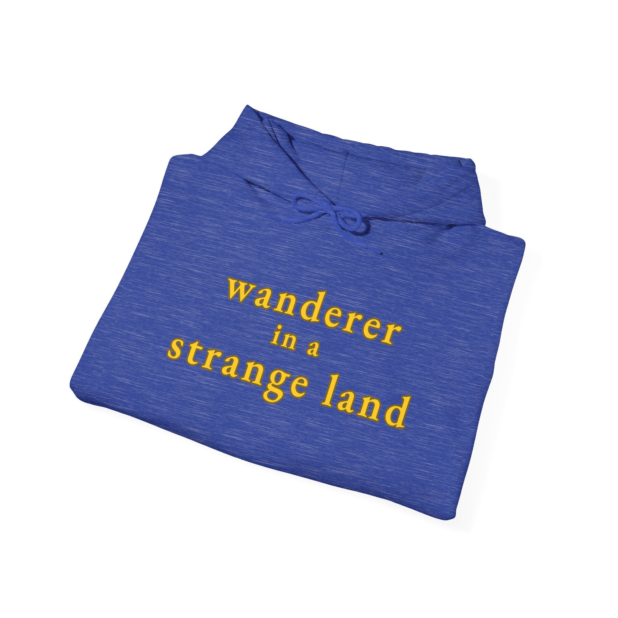 Wanderer in a Strange Land hoodie