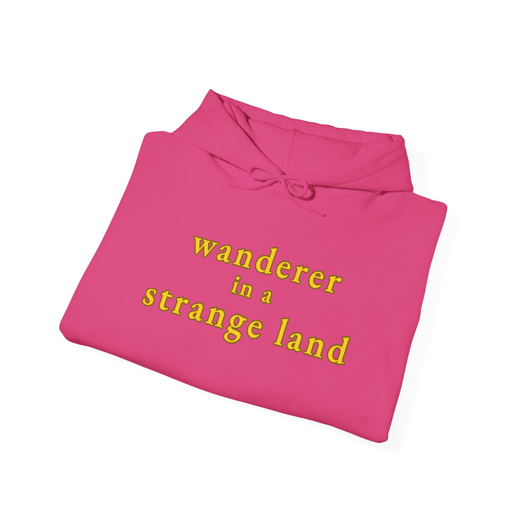 Wanderer in a Strange Land hoodie