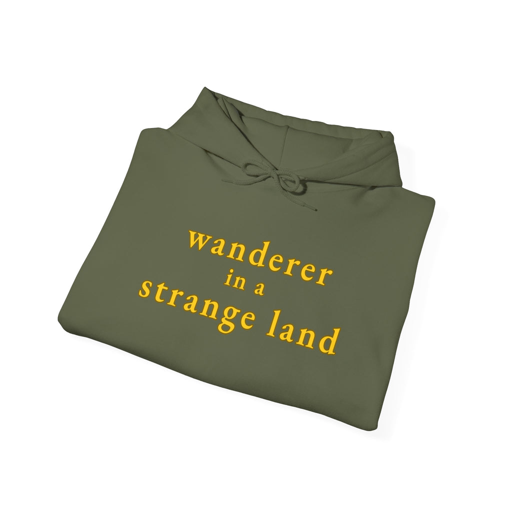 Wanderer in a Strange Land hoodie