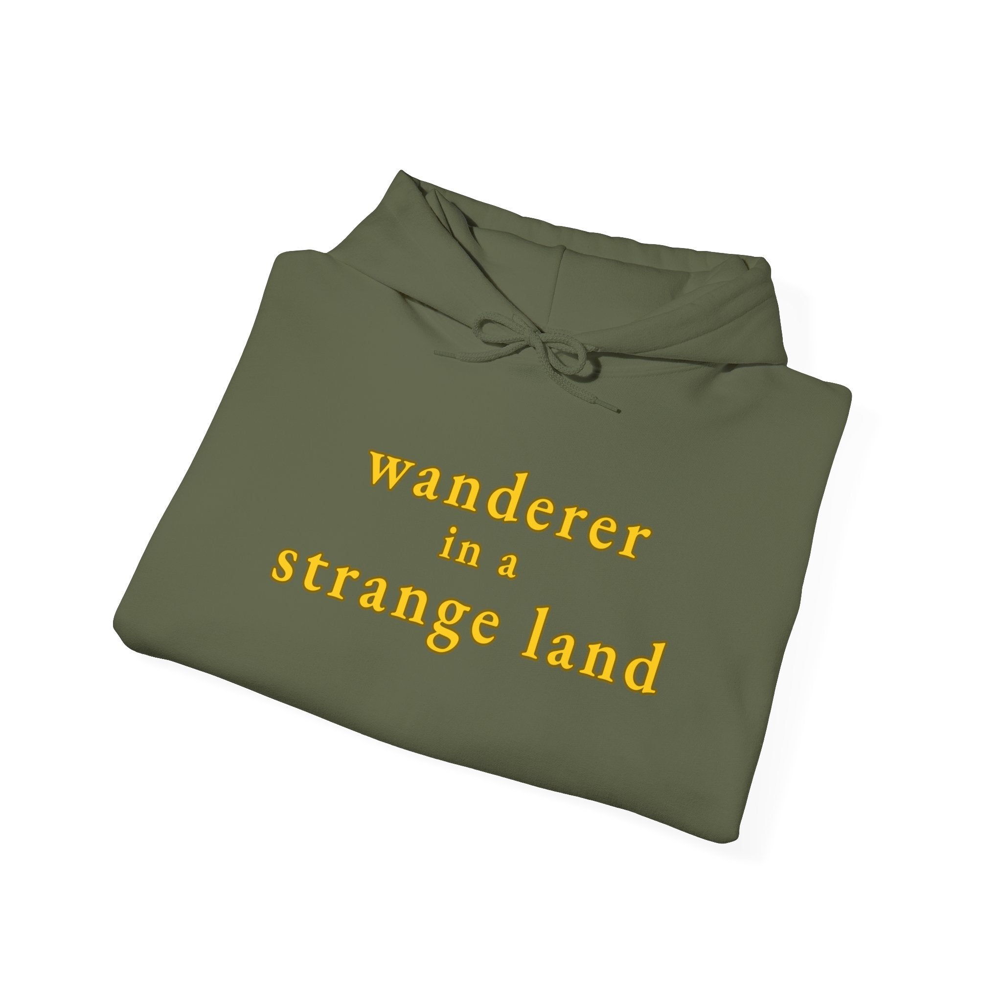Wanderer in a Strange Land hoodie